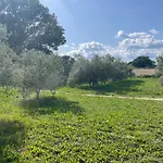 Sous Les Etoiles En Provence, Les Grands Chenes Feriehus Lurs