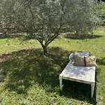Sous Les étoiles En Provence, Les Grands Chênes Casa vacanze *