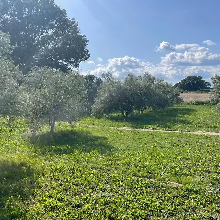 Sous Les Etoiles En Provence, Les Grands Chenes Ferienhaus Lurs