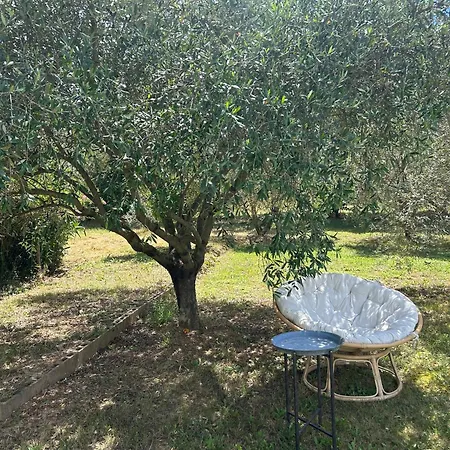 Sous Les Etoiles En Provence, Les Grands Chenes *