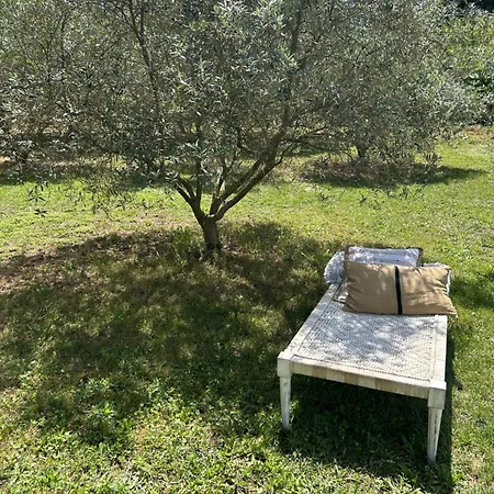 Sous Les Etoiles En Provence, Les Grands Chenes Nyaraló *